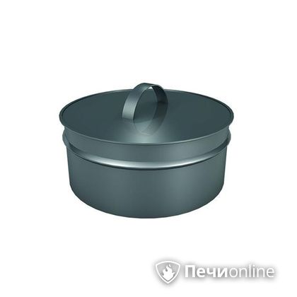 Заглушки Теплов и Сухов Заглушка ревизии Термо-Р 304 0.5 D300(200) в Бердске