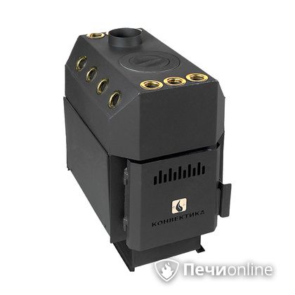 Отопительно-варочная печь Конвектика Ставр 150 с варочной поверхностью  в Бердске