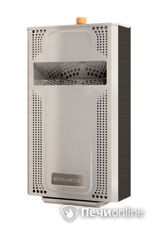 Электрическая печь Теплодар SteamCity-2 в Бердске