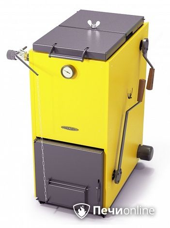 Твердотопливный котел TMF Цельсий Электро 16кВт АРТ ТЭН 6кВт желтый в Бердске