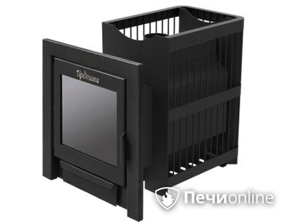 Дровяная банная печь Протопи Сетка 14 Панорама в Бердске