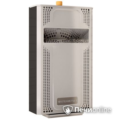 Парогенератор для хамама Теплодар SteamCity 1 в Бердске