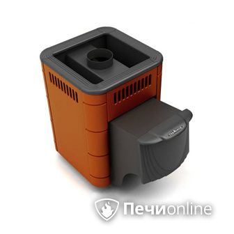 Дровяная банная печь TMF Оса Carbon терракота дверь антрацит в Бердске